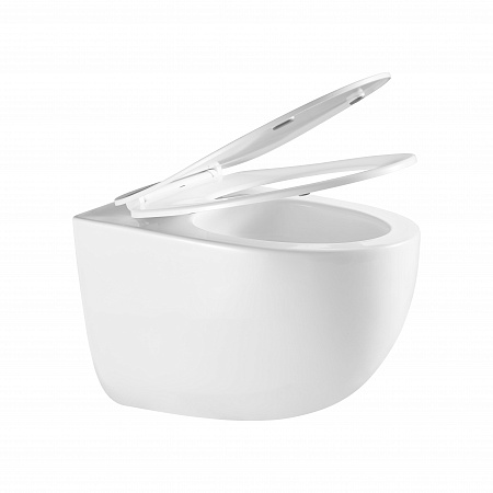 Подвесной унитаз безободковый Terminus Енисей Monolit 560х390 белый Горно-Алтайск - фото 7 Подвесной унитаз безободковый Terminus Енисей Monolit 560х390 белый Горно-Алтайск - фото 7