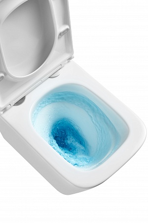 Подвесной унитаз безободковый Terminus Ватикан Monolit 490х340 белый Горно-Алтайск - фото 8 Подвесной унитаз безободковый Terminus Ватикан Monolit 490х340 белый Горно-Алтайск - фото 8