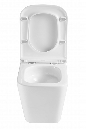 Подвесной унитаз безободковый Terminus Ватикан Monolit 490х340 белый Горно-Алтайск - фото 7 Подвесной унитаз безободковый Terminus Ватикан Monolit 490х340 белый Горно-Алтайск - фото 7