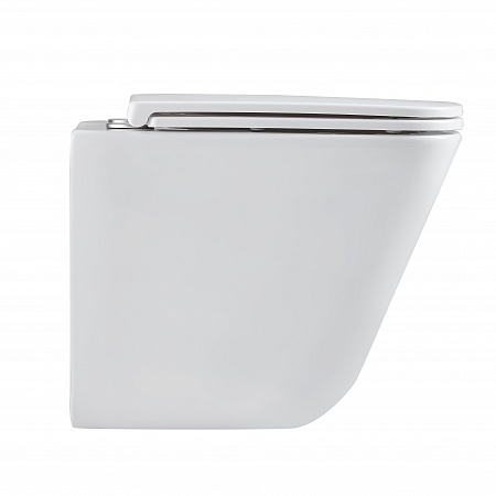 Подвесной унитаз безободковый Terminus Ватикан Monolit 490х340 белый Горно-Алтайск - фото 4 Подвесной унитаз безободковый Terminus Ватикан Monolit 490х340 белый Горно-Алтайск - фото 4