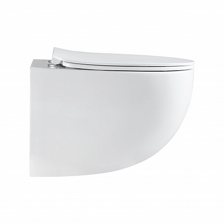 Подвесной унитаз безободковый Terminus Енисей Monolit 560х390 белый Горно-Алтайск - фото 4 Подвесной унитаз безободковый Terminus Енисей Monolit 560х390 белый Горно-Алтайск - фото 4