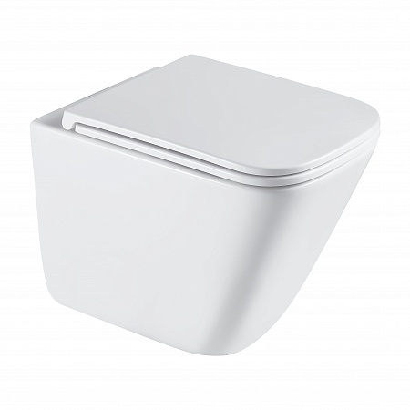 Подвесной унитаз безободковый Terminus Ватикан Monolit 490х340 белый Горно-Алтайск - фото 2 Подвесной унитаз безободковый Terminus Ватикан Monolit 490х340 белый Горно-Алтайск - фото 2