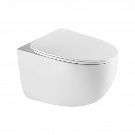 Подвесной унитаз безободковый Terminus Енисей Monolit 560х390 белый Горно-Алтайск - фото 2 Подвесной унитаз безободковый Terminus Енисей Monolit 560х390 белый Горно-Алтайск - фото 2