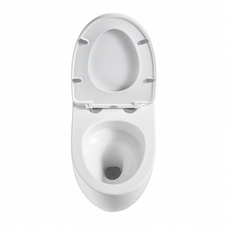 Подвесной унитаз безободковый Terminus Енисей Monolit 560х390 белый Горно-Алтайск - фото 3 Подвесной унитаз безободковый Terminus Енисей Monolit 560х390 белый Горно-Алтайск - фото 3