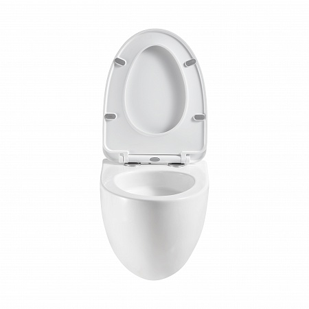 Подвесной унитаз безободковый Terminus Енисей Monolit 560х390 белый Горно-Алтайск - фото 5 Подвесной унитаз безободковый Terminus Енисей Monolit 560х390 белый Горно-Алтайск - фото 5