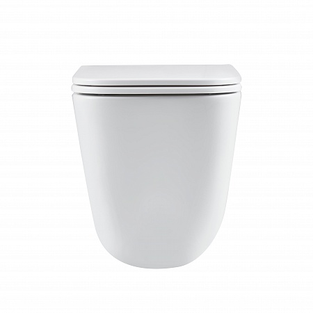 Подвесной унитаз безободковый Terminus Ватикан Monolit 490х340 белый Горно-Алтайск - фото 6 Подвесной унитаз безободковый Terminus Ватикан Monolit 490х340 белый Горно-Алтайск - фото 6