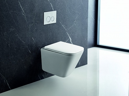 Подвесной унитаз безободковый Terminus Ватикан Monolit 490х340 белый Горно-Алтайск - фото 1 Подвесной унитаз безободковый Terminus Ватикан Monolit 490х340 белый Горно-Алтайск - фото 1