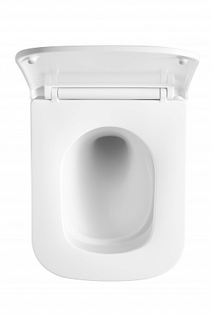 Подвесной унитаз безободковый Terminus Ватикан Monolit 490х340 белый Горно-Алтайск - фото 3 Подвесной унитаз безободковый Terminus Ватикан Monolit 490х340 белый Горно-Алтайск - фото 3